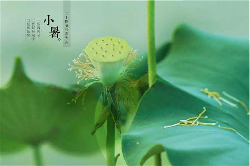 二十四节气——小暑