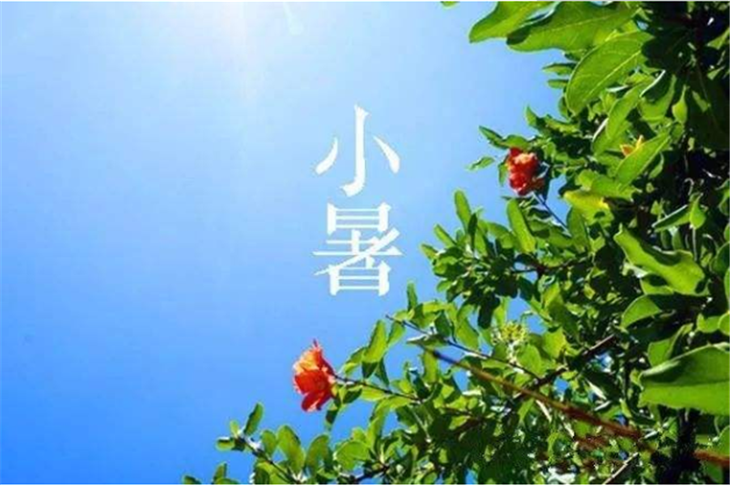 二十四节气——小暑